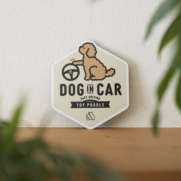 【トイプードルA】DOG IN CAR マグネットステッカー