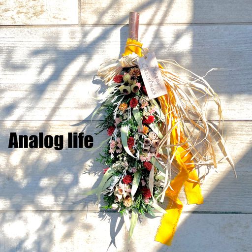 Analog Life 