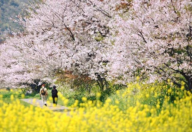 夢前川フリマウォークへの出店決定！