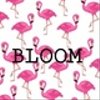 bloom-138さんのショップ