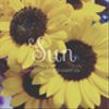 sun-nuts458さんのショップ