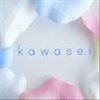 kawaseiさんのショップ