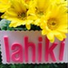 lahikiさんのショップ