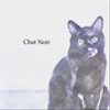 chatnoir000さんのショップ