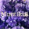 muntikuiさんのショップ