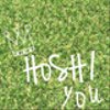 hoshi-youさんのショップ