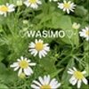 washimo88さんのショップ