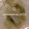 osmanthus7-3さんのショップ