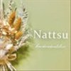 nattsu-rcさんのショップ