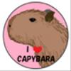 capybarafunさんのショップ