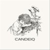 candeiqさんのショップ