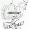 entomologyさんのショップ