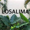 losalimaさんのショップ