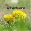 petancoyaさんのショップ