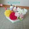 luanaluanaさんのショップ