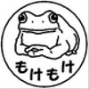 budgettsfrogさんのショップ