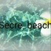 secretbeach8さんのショップ