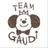 team-gaudiさんのショップ