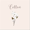 cotton730さんのショップ