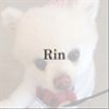 rin8-10さんのショップ