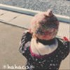 hahaco-hachiさんのショップ