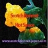 scotchbonnetさんのショップ