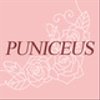 puniceusさんのショップ