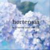 hortensia-66さんのショップ