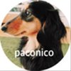 paconicoさんのショップ