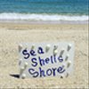 seashells13さんのショップ