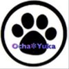 ocha0301yukaさんのショップ