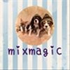 mixmagicさんのショップ