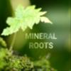 mineralrootsさんのショップ