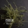 noix-fdさんのショップ