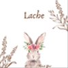 lache0601さんのショップ