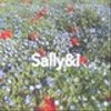 sallyouさんのショップ