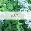 scent-machiさんのショップ