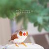 plum-plusさんのショップ