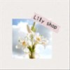 lily88shopさんのショップ