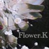 flower-kkk3さんのショップ