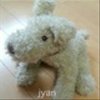 jyancafeさんのショップ