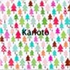 kari-toさんのショップ