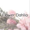 flowerdahliaさんのショップ