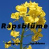 222rapsblumeさんのショップ