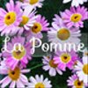 la-la-pommeさんのショップ