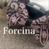 forcinanaさんのショップ