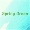 spring-greenさんのショップ