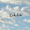 calin4214さんのショップ