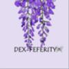 dexfeferityさんのショップ