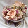 plusbijouさんのショップ